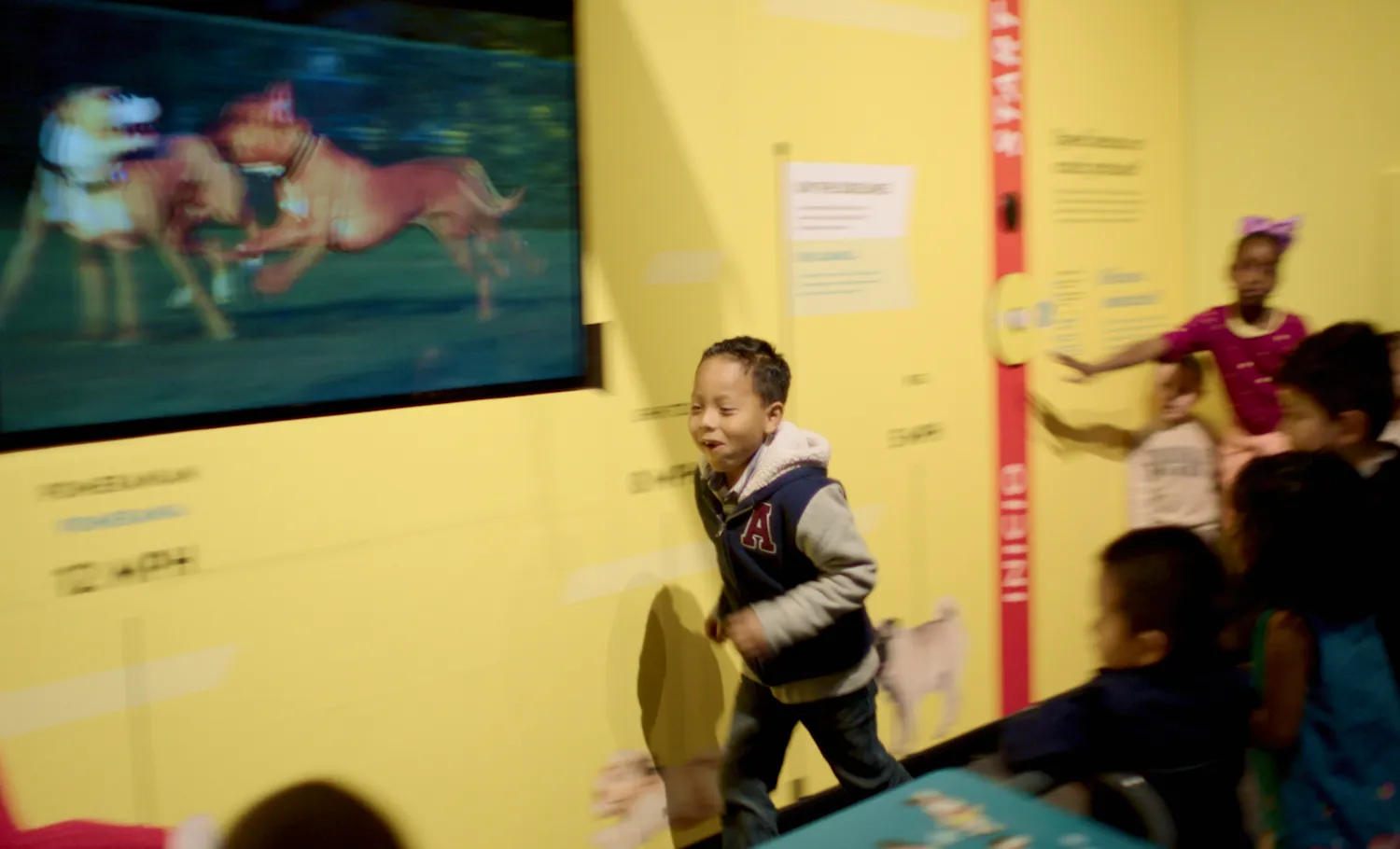 A child running beside a digital screen comparing speeds of different dog breeds.