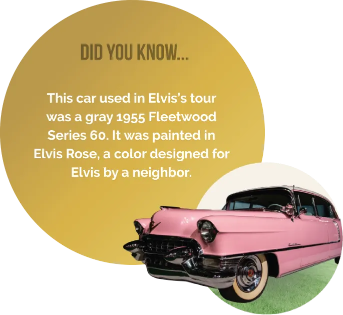 Graphic overlay of fun facts that can be found on the companion tablet app.